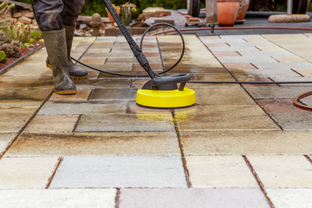 Best Roof Cleaning and Mildew Removal in Chinook, MT